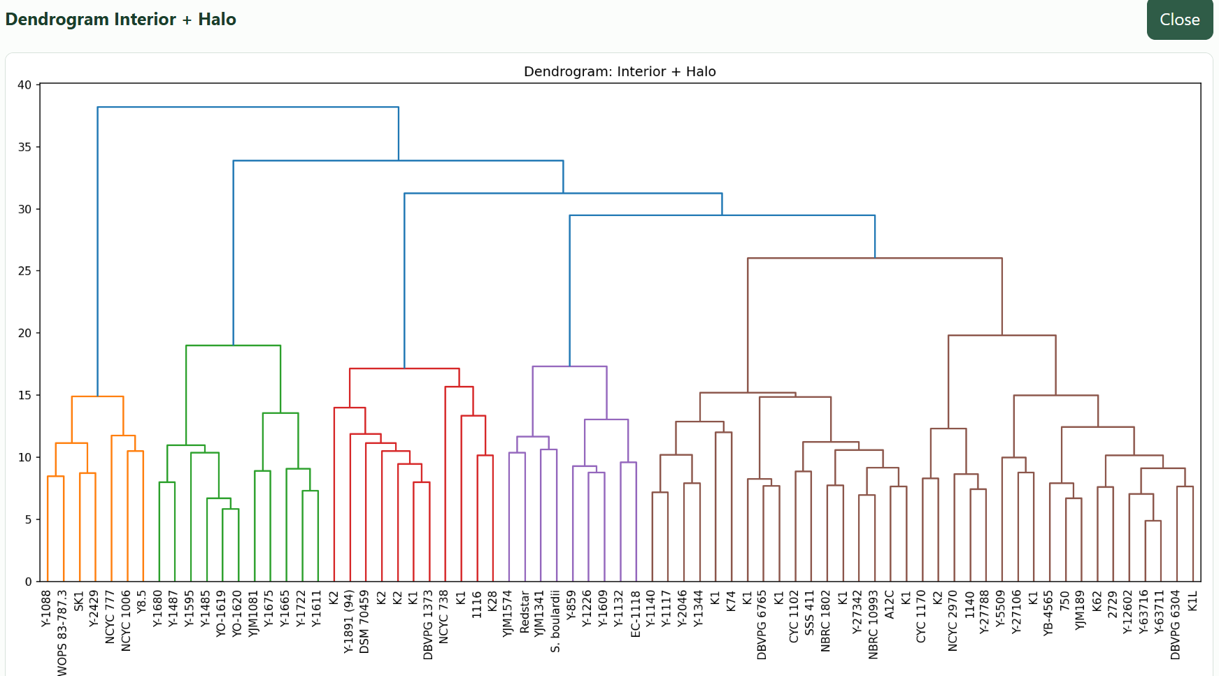 Additional detection result for killer yeast sample.